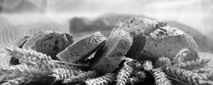 image67greyscale